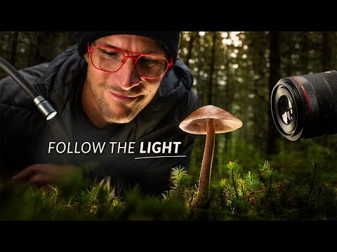 A New Way to Compose Macro Shots with Light thumbnail