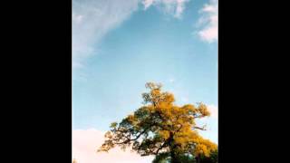 sonatina for 2 violas
