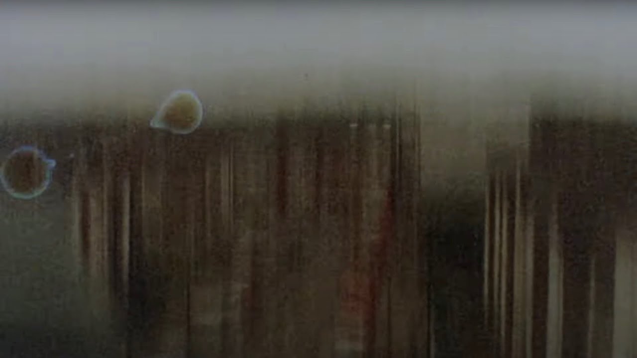 Joe Armon Jones & Goya Gumbani - Fix It [Official Audio]