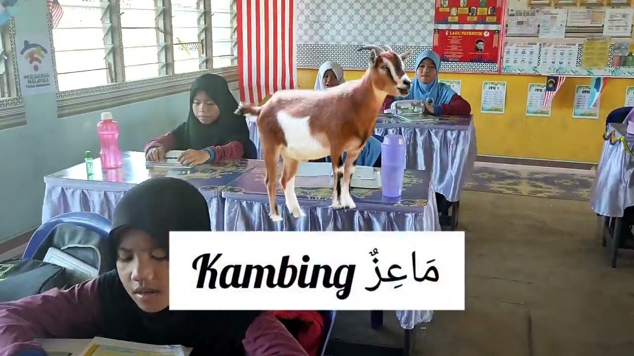Lagu Bahasa Arab Tahun 5 Tajuk 4 : رِفْقًا بِالحَيَوَانَات