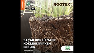 Saçak Kök Uzmanı Rootex