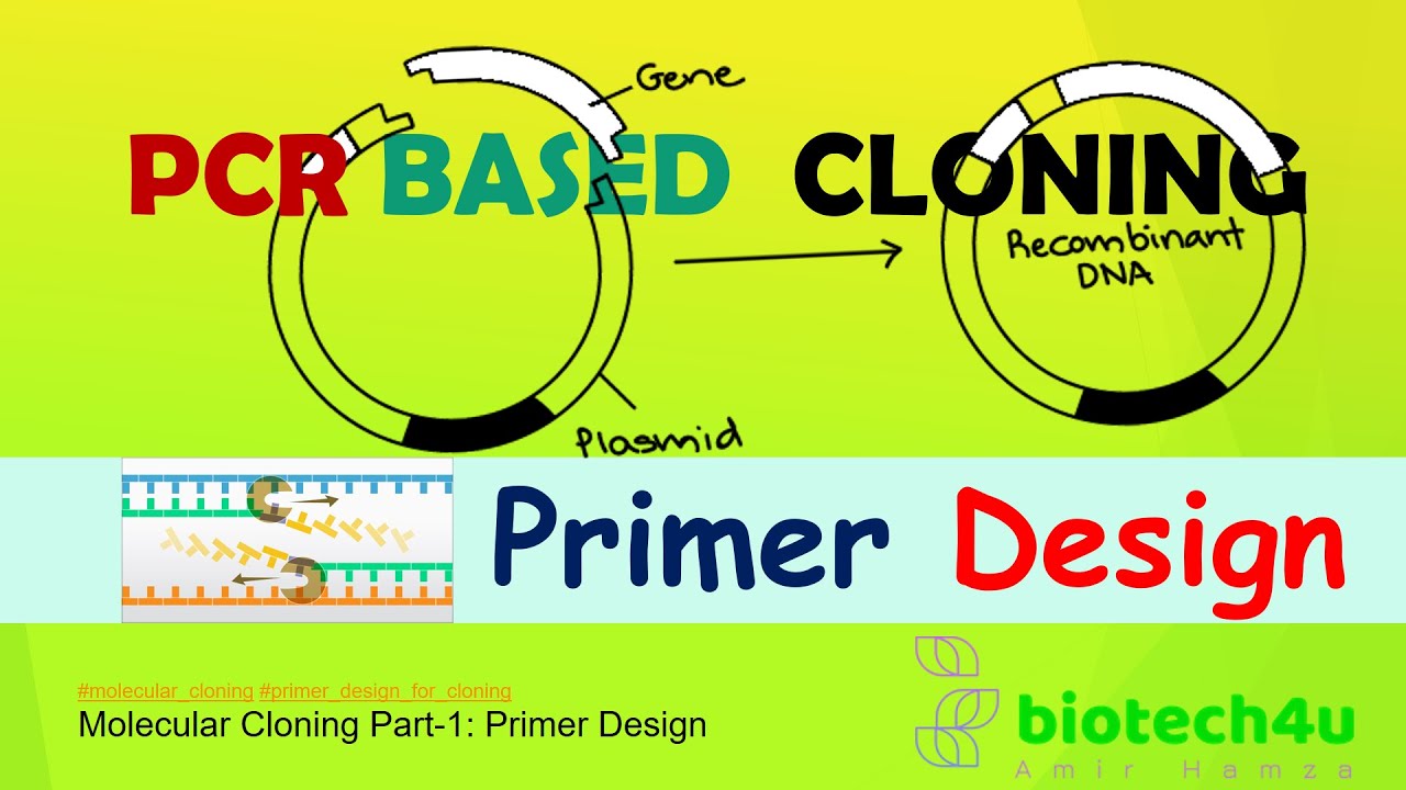 Molecular Cloning Part-1: Primer Design