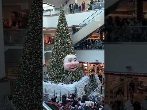 Woody the Talking Christmas Tree Returns to Nova Scotia Mall 🎄