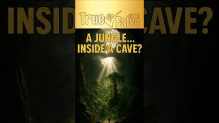 A Secret Jungle... Hiding UNDERGROUND? 🤯