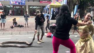 Girl dancing with python snake. #trending #dance #python #video #travel #fyp #viral #fypシ #snake  Wealth