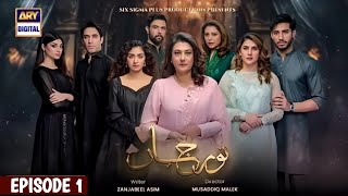 Ary Digital - New Drama - Noor Jahan - Episode 1 - Release Date | Kubra Khan | Ali Rehman | Saba