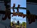 Mandril Mayhem, World of Jumanji! 2023 off ride footage