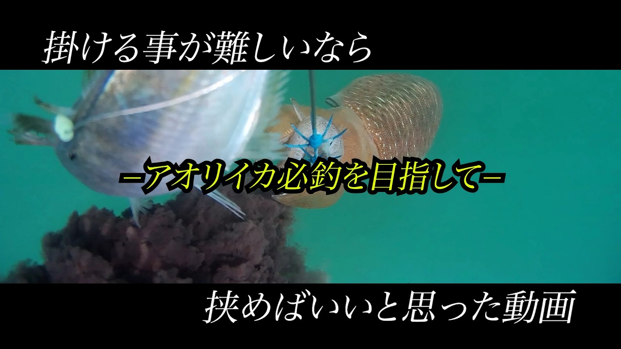 Underwater Camera] How effective is this romantic fishing gear 