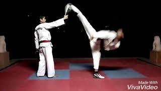 Best Taekwondo Turning kicks highlight screenshot 4
