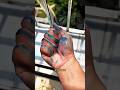 Magic Water Trick Turns Drawing Into a Toy! ✨😱 #shorts