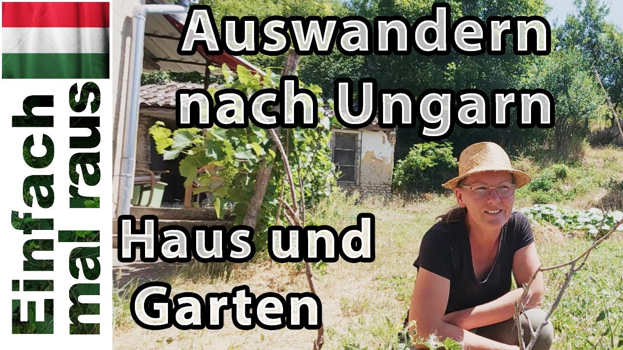 Haus und Garten  |  Renovieren - die Arbeit beginnt  |  Grundstück in Ungarn