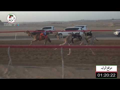 الشوط 4 مجد ل خميس سعيد الكعبي 2 12 شارة الصندوق 2021 4 17 فطامين سويحان