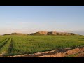 BISI Webinar: Prof Augusta McMahon on 'From Tell Brak to Lagash'