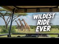 Kilimanjaro Safaris Ride at Disney’s Animal Kingdom | Testing Smooth Q Phone Gimbal
