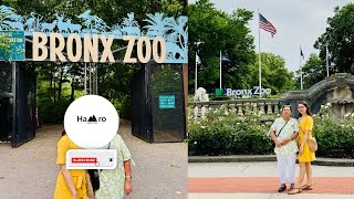 Watch this before you Visit the Bronx Zoo