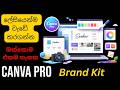 Canva Pro Brand Kit Complete Guide | Sinhala Step-by-Step Tutorial (2026)