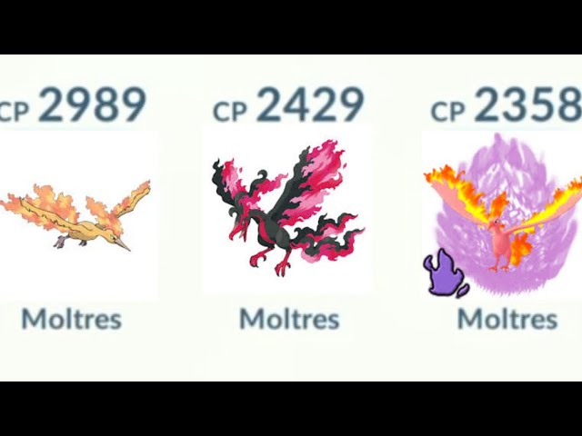 Using Triple Moltres (But All Different) 🤩 Pokemon Go. 