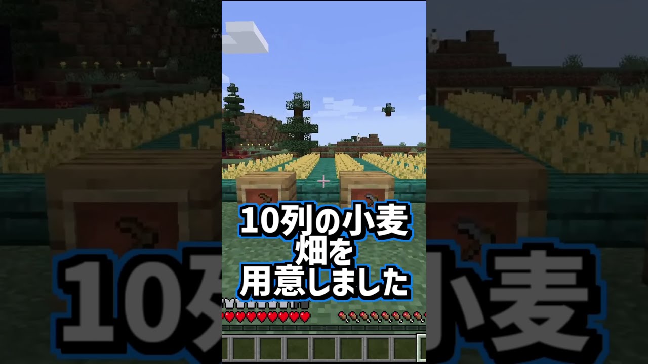 マイクラ 小麦の収穫をクワでやると収穫量が2倍になるって本当 検証 Shorts マイクラ動画まとめ