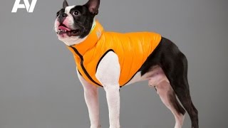 AiryVest - The World's Lightest Dog Jacket - CollarGlobal.com