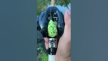 Nghèo thì chơi theo kiểu nghèo :))) #shorts #rongchoimientay #fishing #lurecaloc