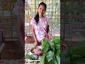 Taro plant (Arbi) with Chicken || Unique recipe ||Village Recipe|| Rishmou Taste #shorts