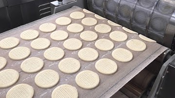 Tray Type Model 400 Soft Biscuit Machine Tested Video