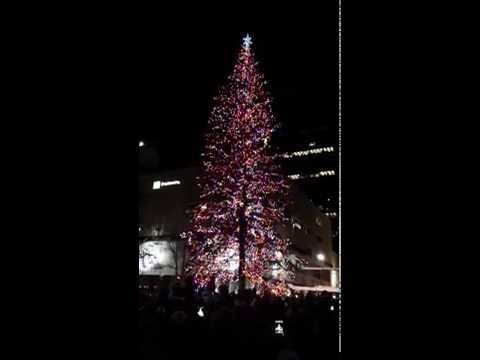 ACCESS: YouTube Christmas Tree Lighting - Edmonton Nov 14, 2015 - ACCESS: YouTube