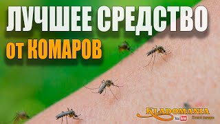 ЛУЧШЕЕ СРЕДСТВО от КОМАРОВ. Как избавиться от комаров в походе. КЛАДОМАНИЯ