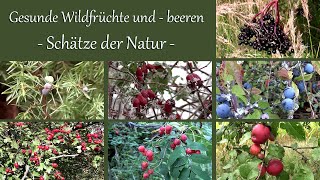 Gesunde Wildfrüchte und  -beeren | Schätze der Natur