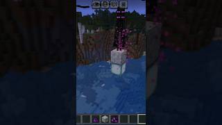 Enderman vs Endermite – The Most Unexpected Minecraft Battle! 😱