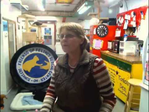cage free vs organic eggs Envelopes & Fun 1-31-2013
