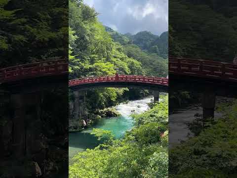 serenity in #nikko