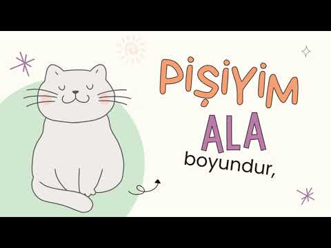 Pişik 🐱🐈. Mirmehdi Seyidzadə