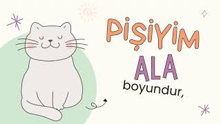 Pişik 🐱🐈. Mirmehdi Seyidzadə