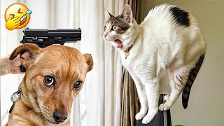 Funniest Animals 😄 New Funny Cats and Dogs Videos 😹🐶 - Part5