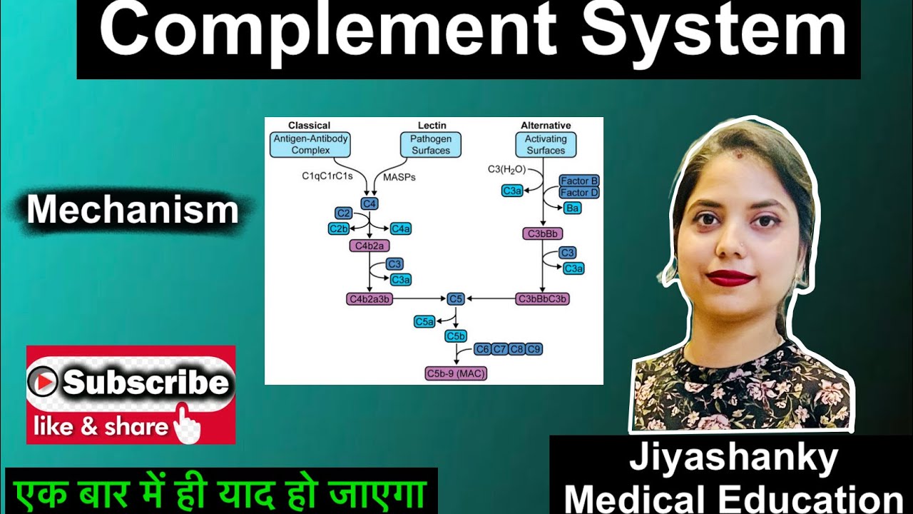 Complement System in Hindi | Mechanism | एक बार में ही याद हो जाएगा ...