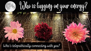 Pick A Card  Who Is PULLING On Your ENERGY/Thinking Of YOU & WHY?  Intuitive FLOWER Reading