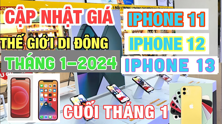 Iphone 11 giá hiện tại bao nhiêu năm 2024