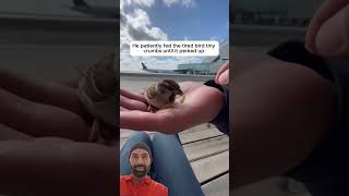 He Gave Up His Filgt Fer A Thirsty Little Sparr