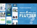 Flutter Essentials 01. Apa Itu Flutter & Siapa yang Menggunakannya?