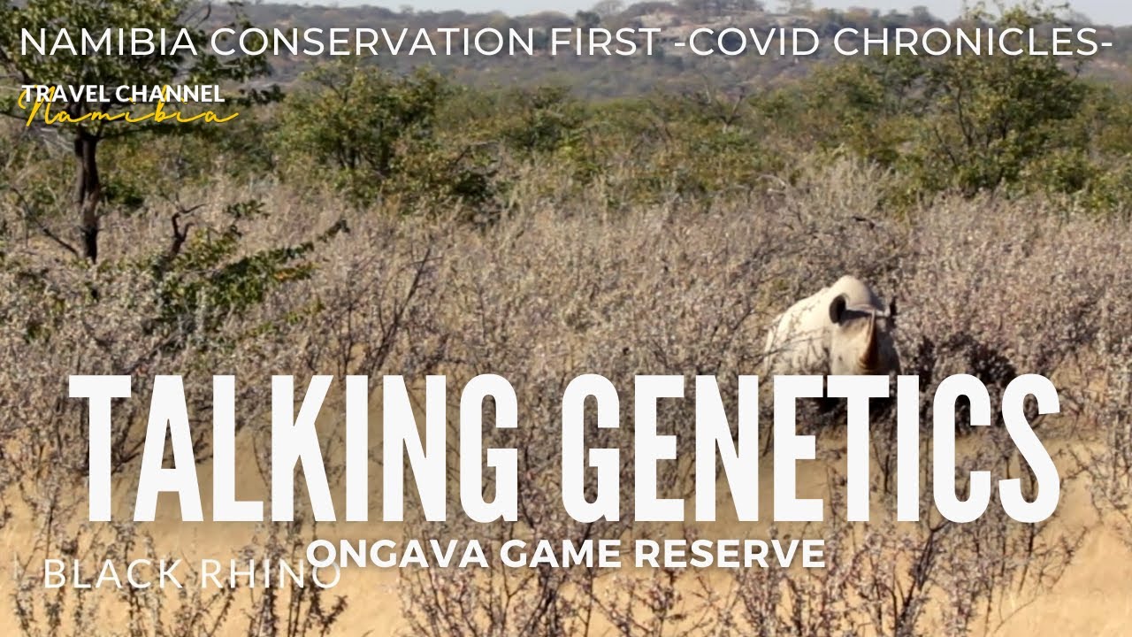 E05: TALKING GENETICS