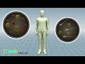 Zika virus isa na ring STD; Pilipinas wala daw Zika virus ayon sa DOH — TomoNews