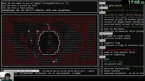 NetHackathon: 50:30 - 51:00 luxidream