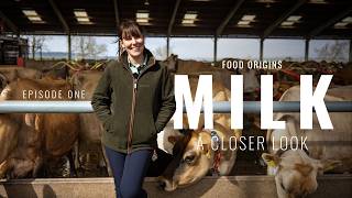 Food Origins | Milk Production: What Happens on a Dairy Farm?