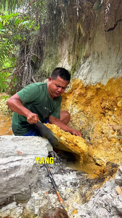 Traditional gold mining #mininggold #people'sgoldmining #goldhunter