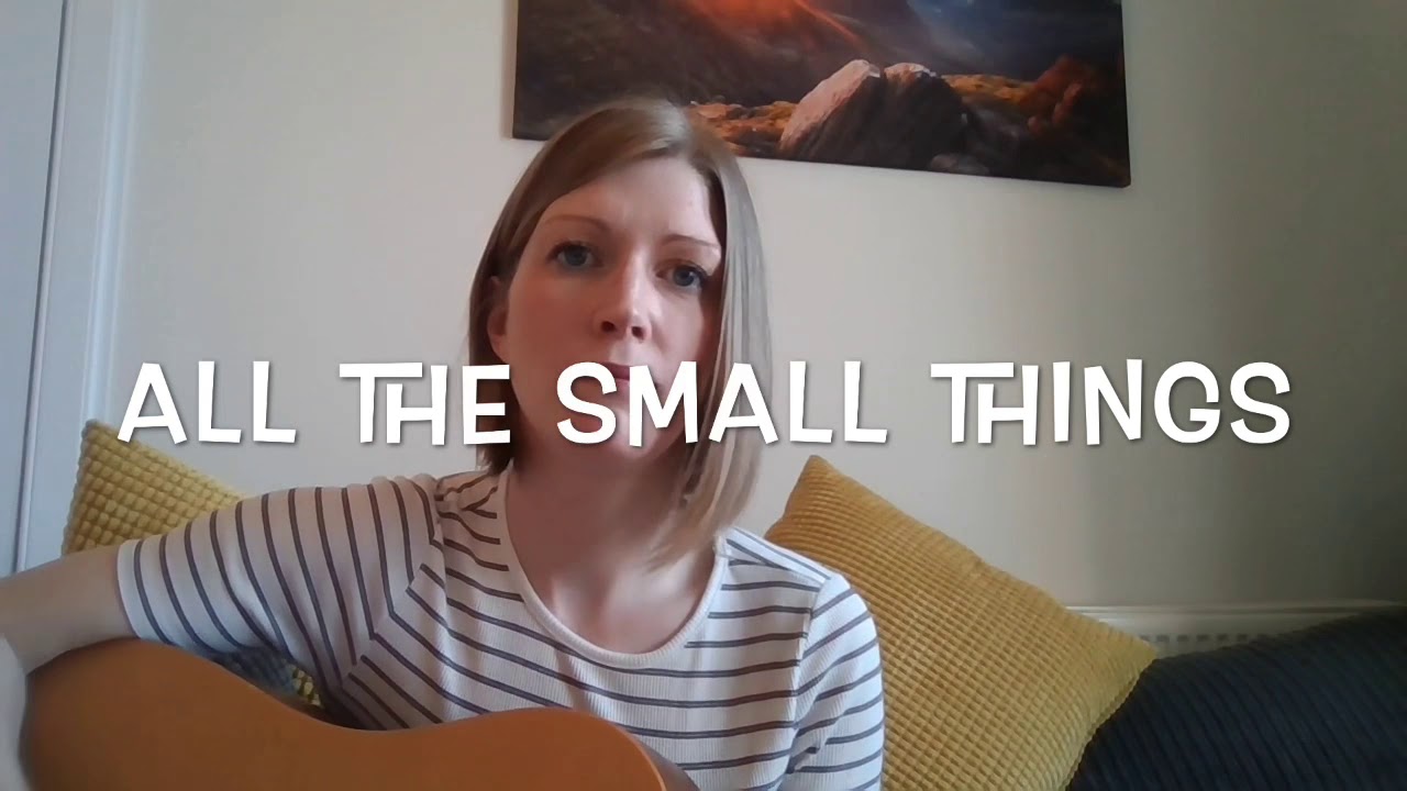 All the Small Things - YouTube
