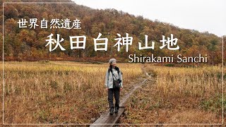 【世界自然遺産】秋田白神山地を巡るエコツアーshort ver.