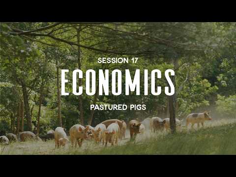 Pastured Pigs Session 17: Economics