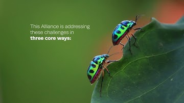 BHP and Conservation International  |  About Our Partnership