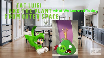 Cat Luigi and The Plant from Outer Space Part 12: What We Learned Today